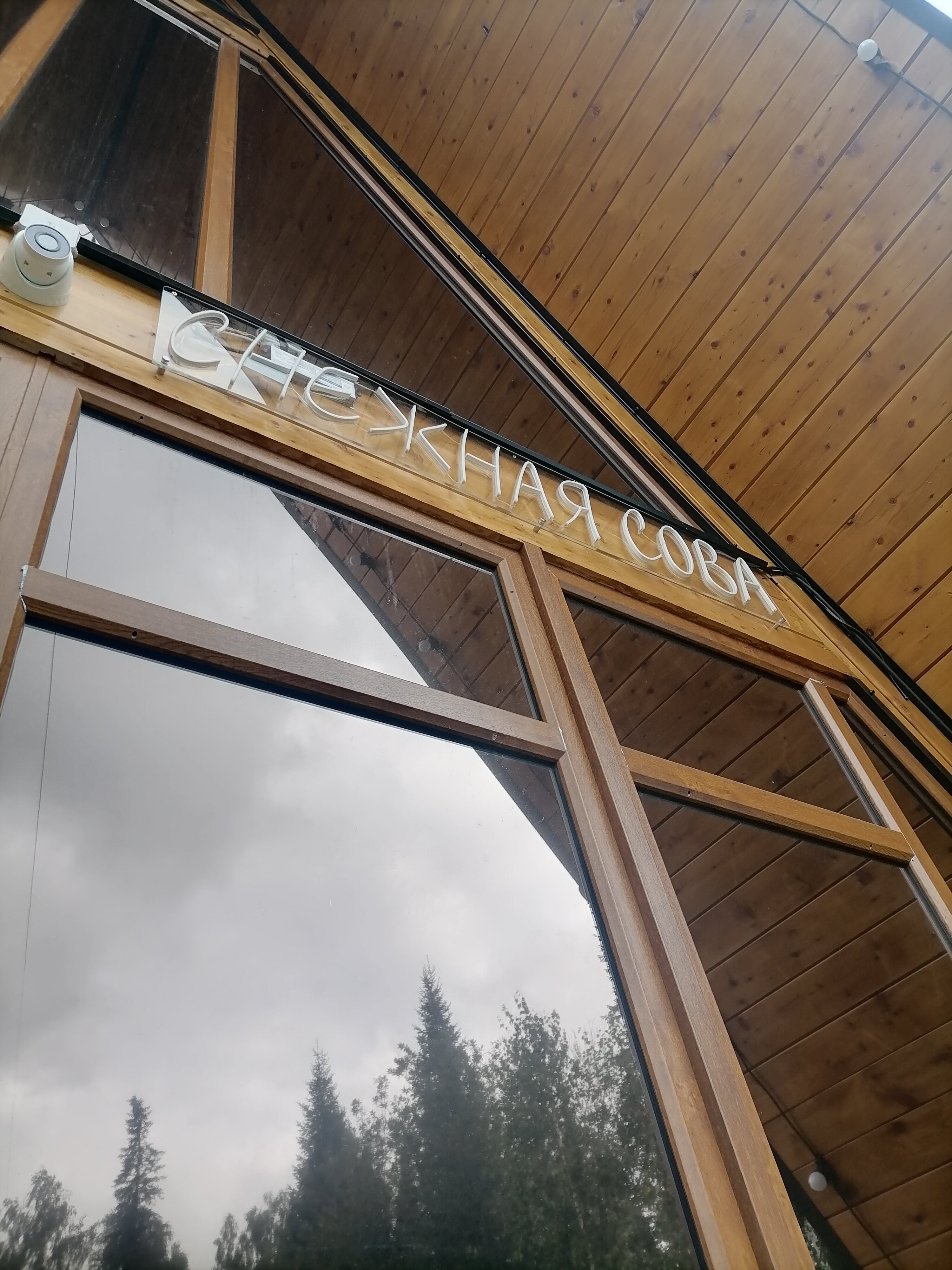 Фото Снежная сова