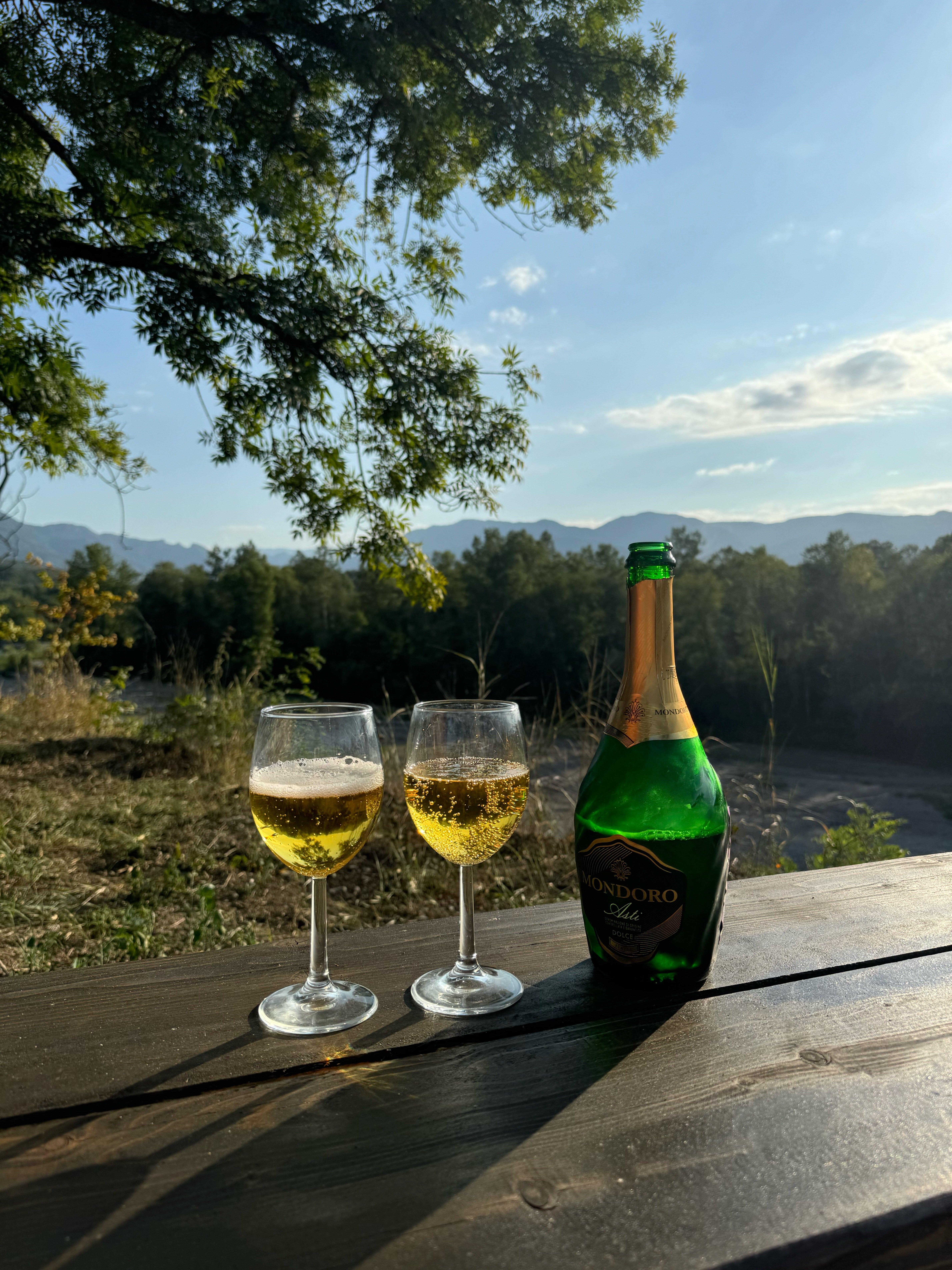 Фото Feshin Forest