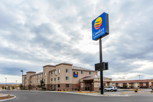 Гостиница Comfort Inn & Suites в Роулинсе