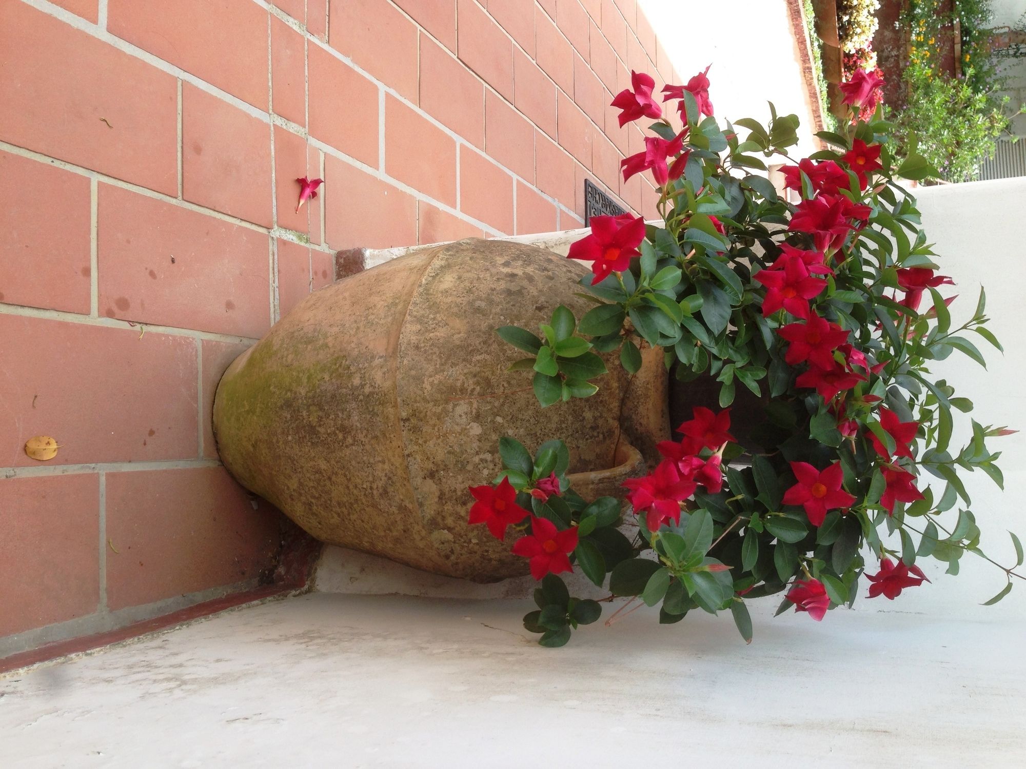 Фото Mediterraneo