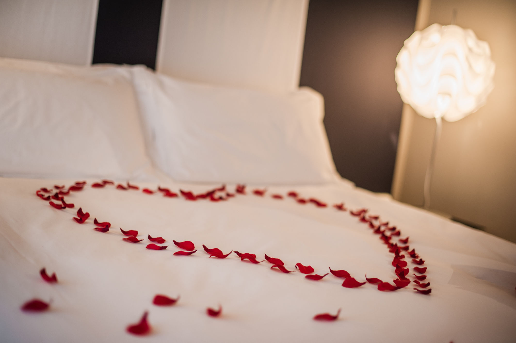 Фото Hotel Casa Poli