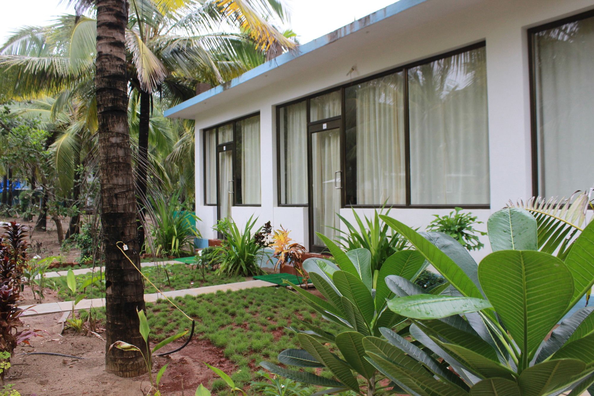 Фото Morjim Hermitage