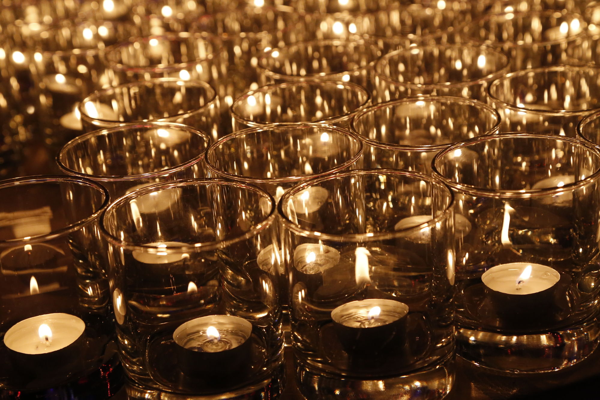 Фото Taj City Centre Gurugram