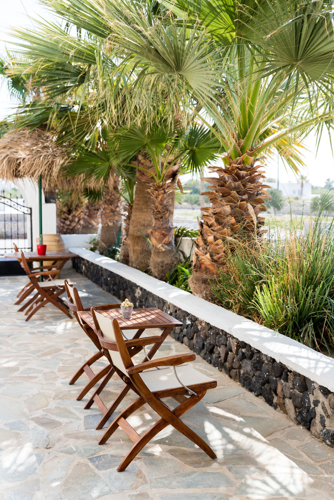 Фото Memento Perissa