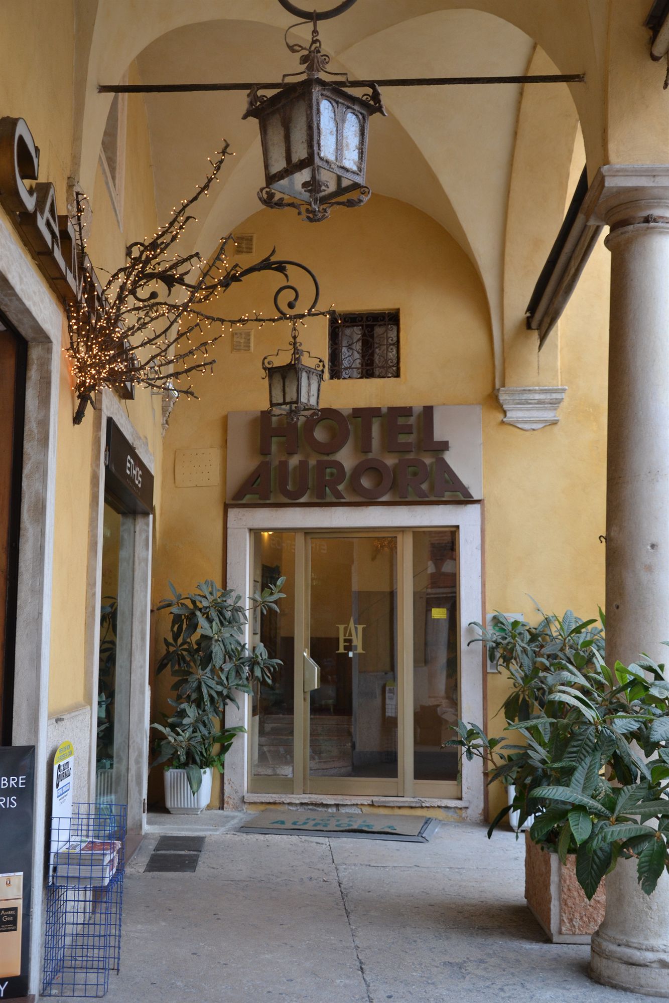 Фото Hotel Aurora