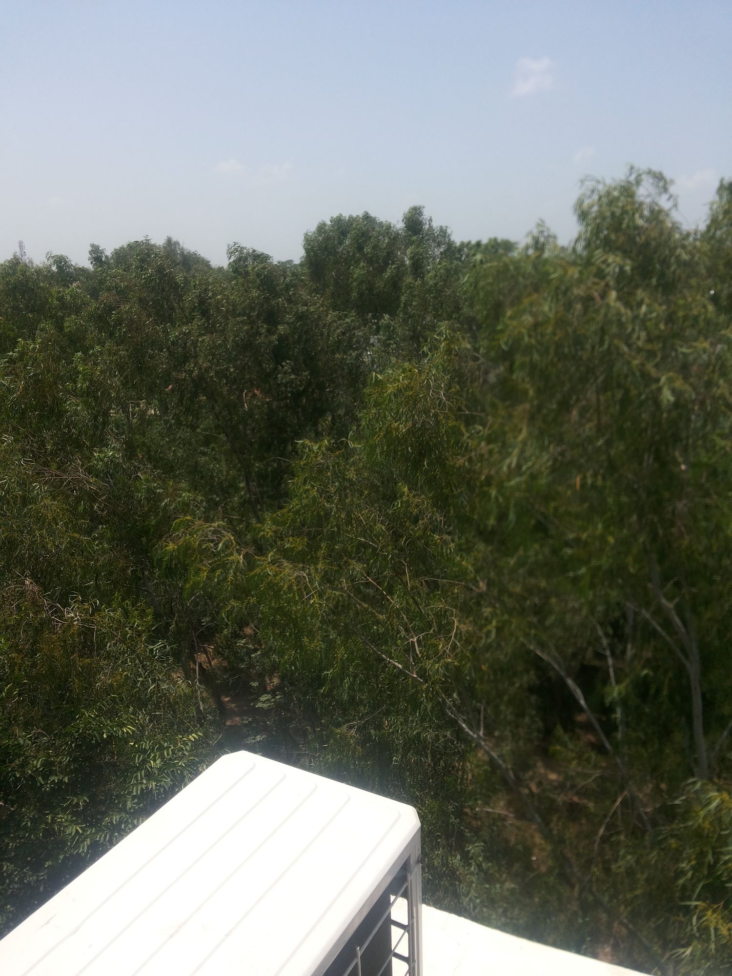 Фото Md 9 Star Hotel