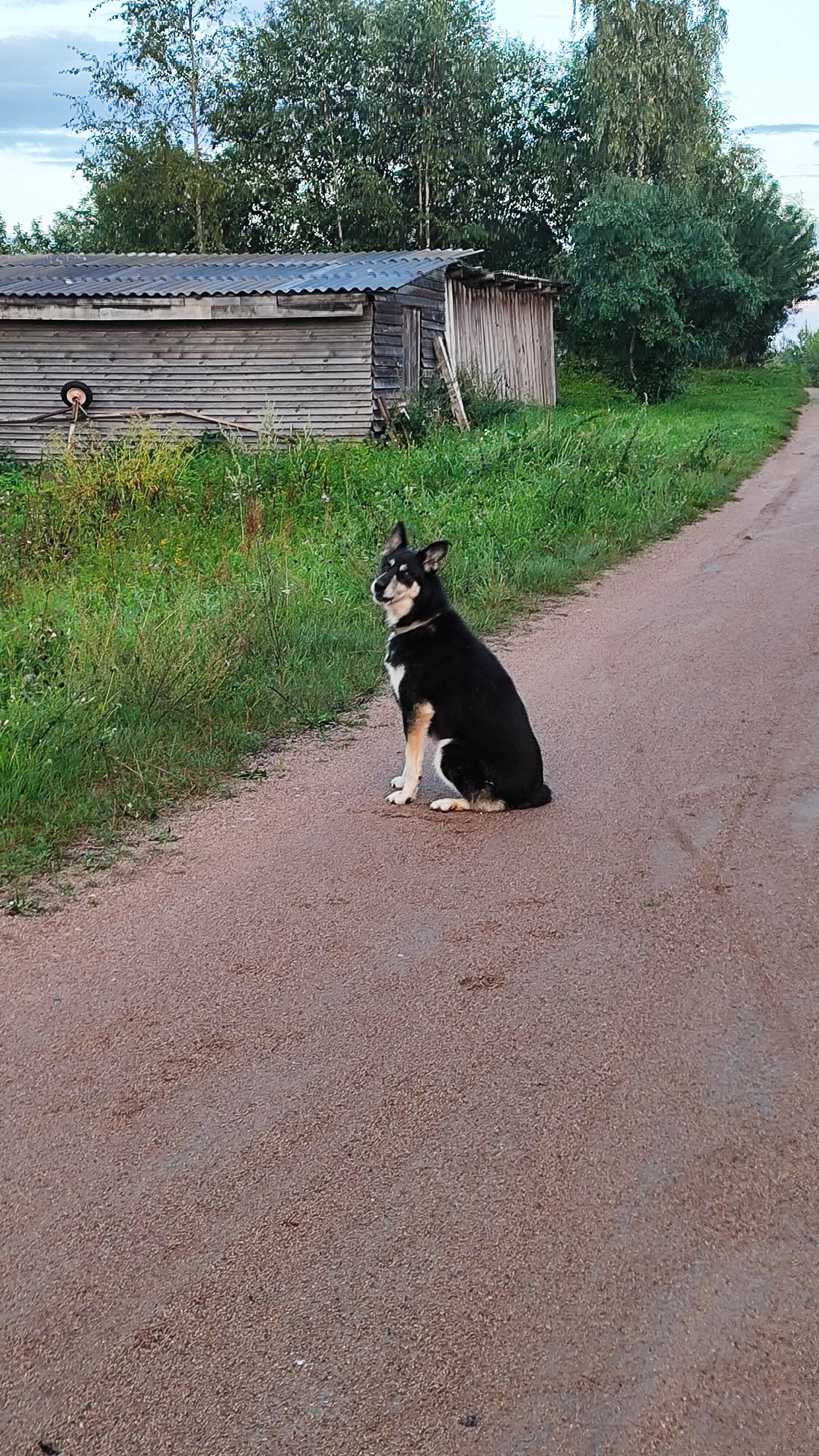 Фото Шиловка