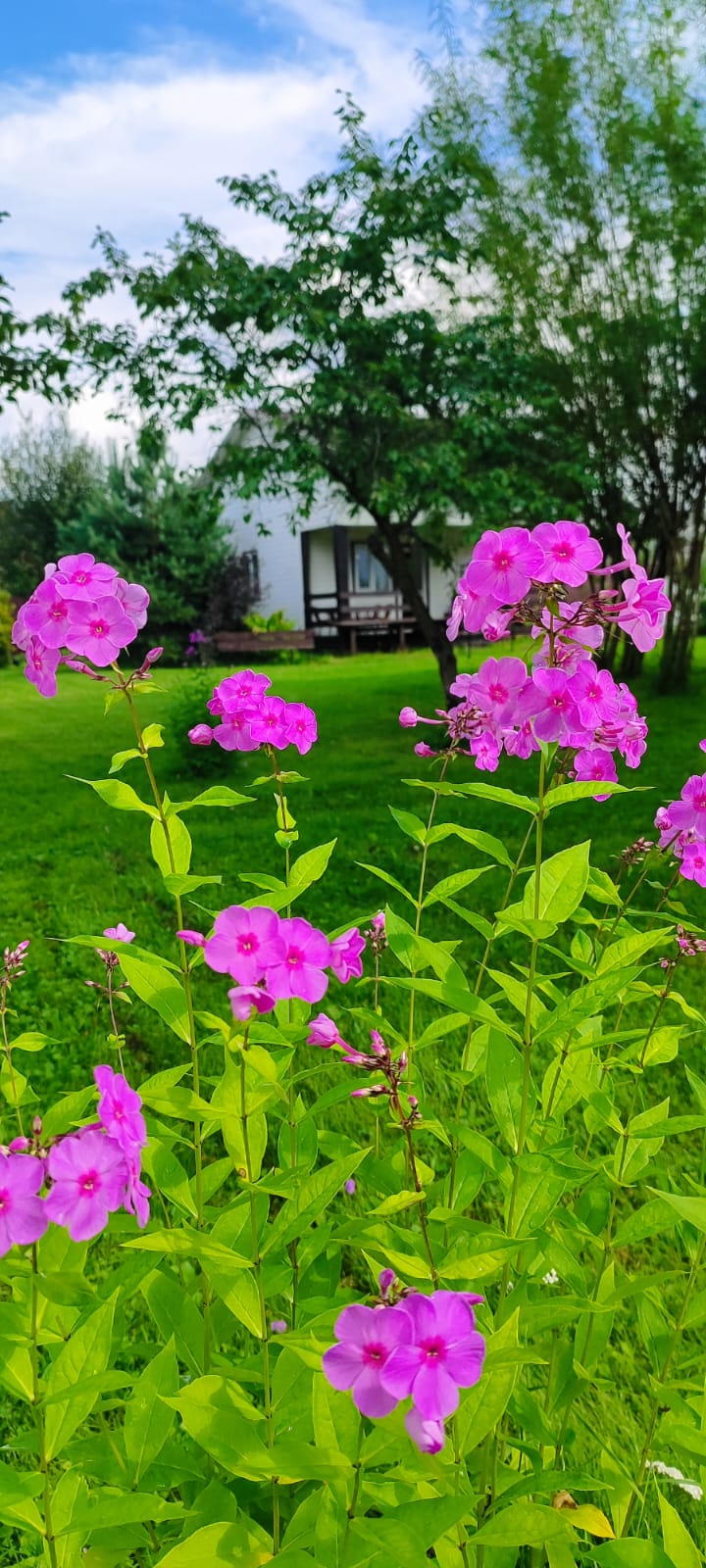 Фото Усадьба Заповедная