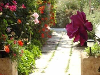 Фото Creta Sun Hotel Studios