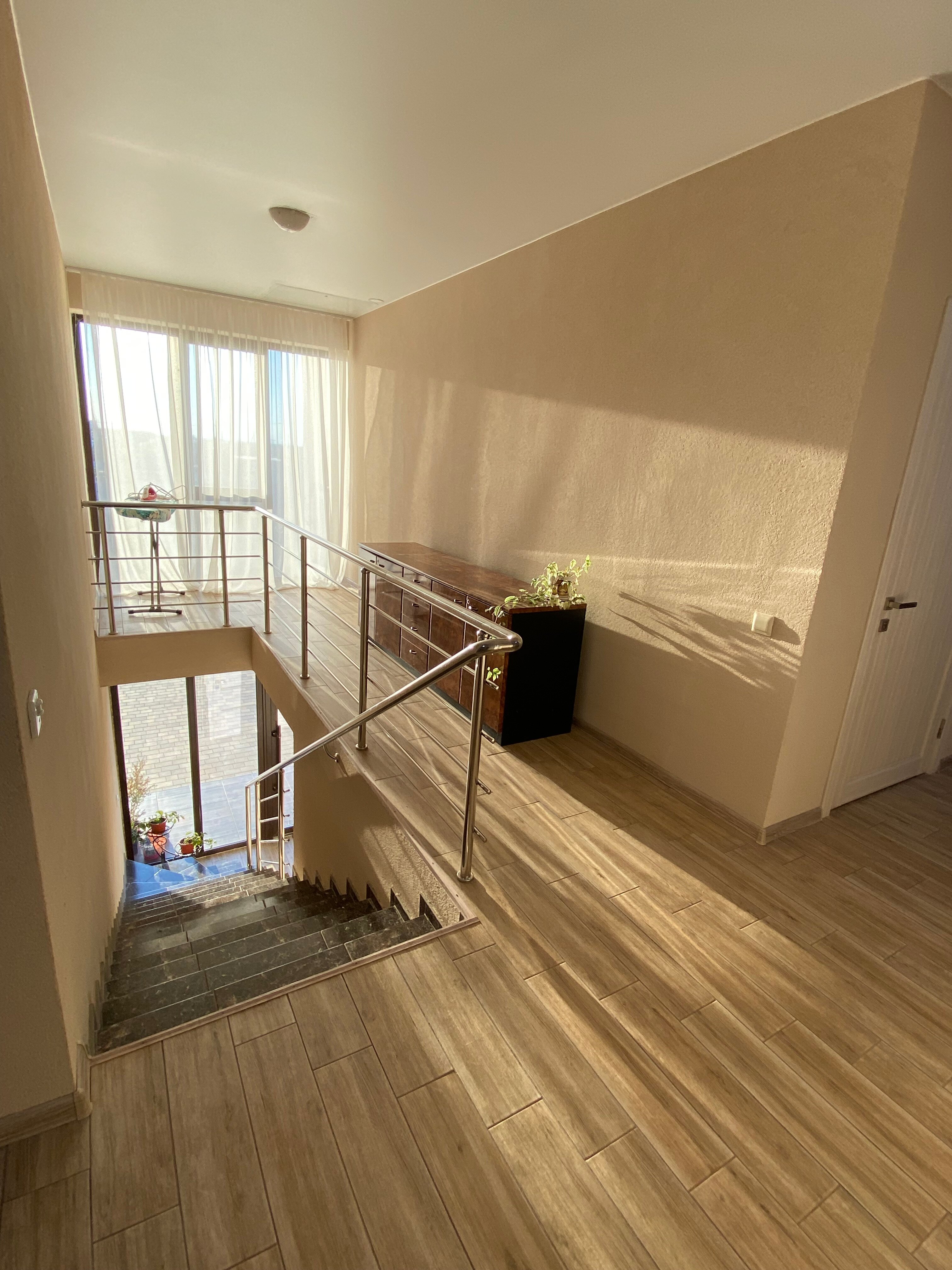 Фото Сантолина