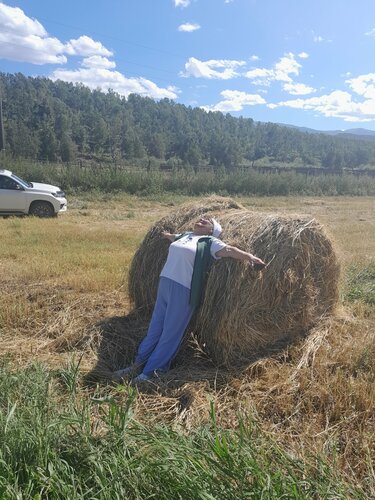 Неміс порно фильмдерінің атаулары