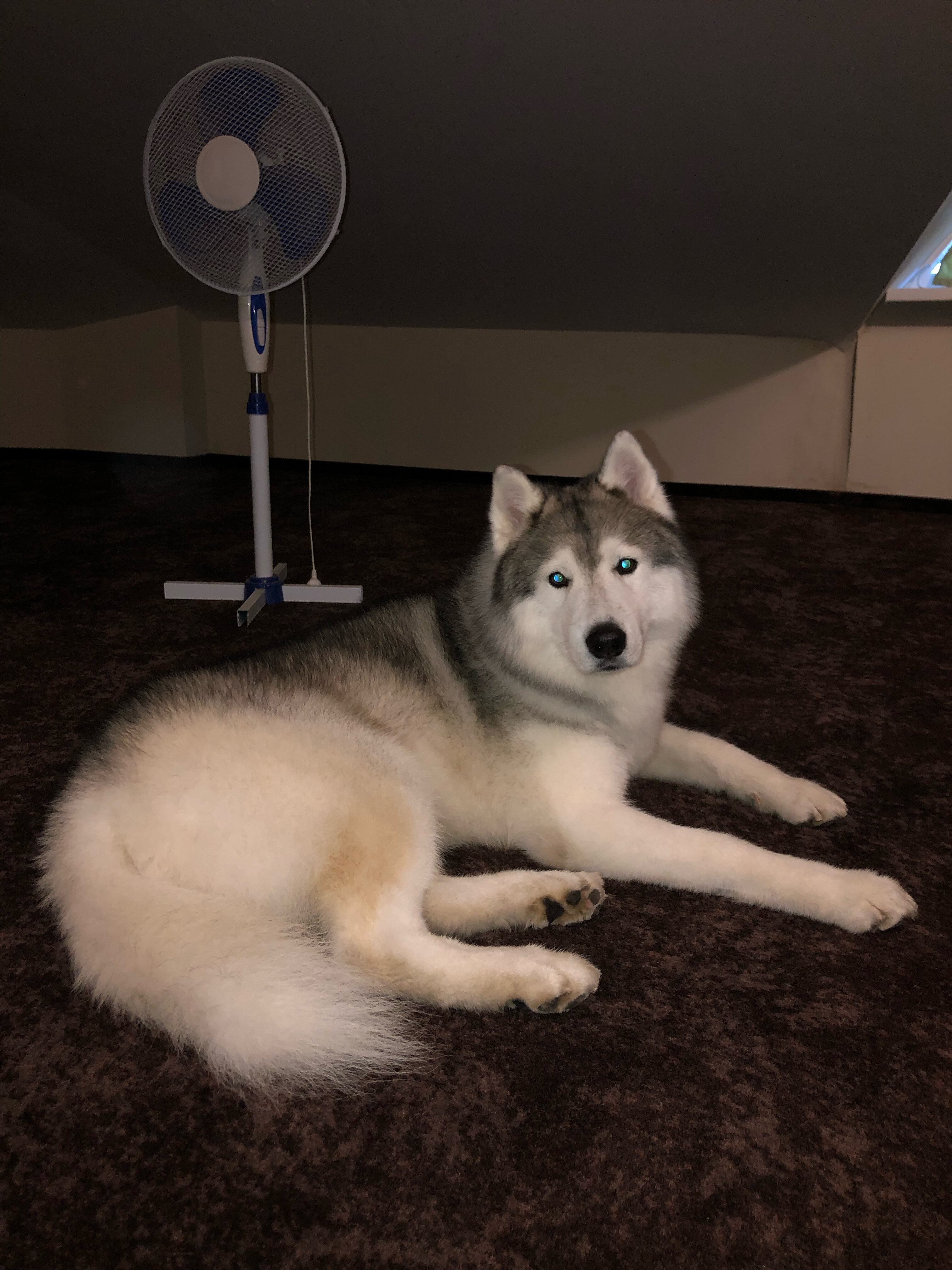 Фото Мельница