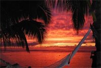 Фото Magic Reef Bungalows