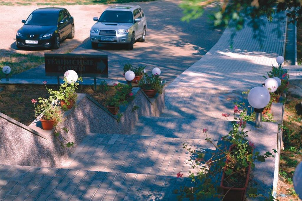 Фото Берёзка