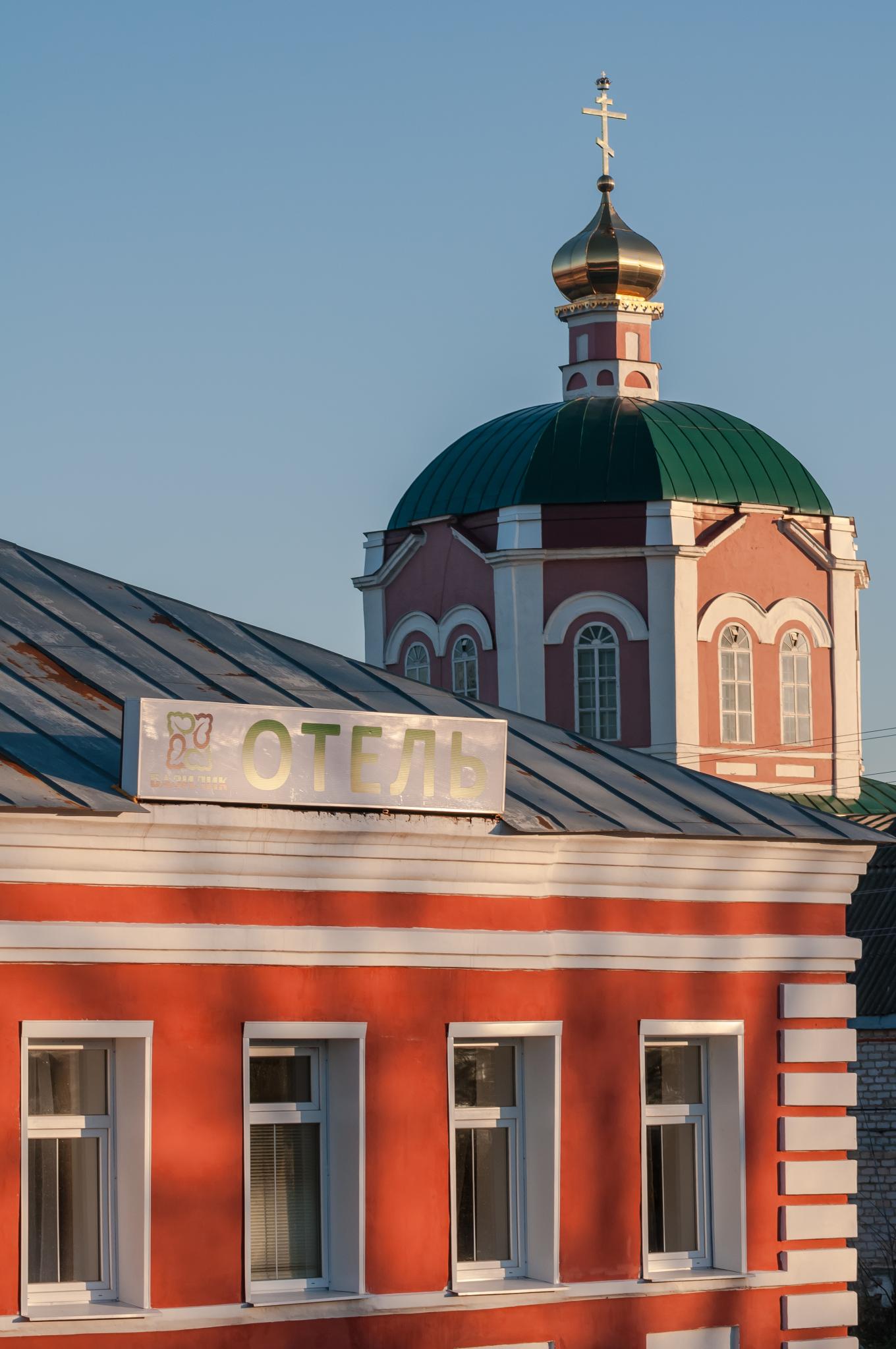 Фото Базилик