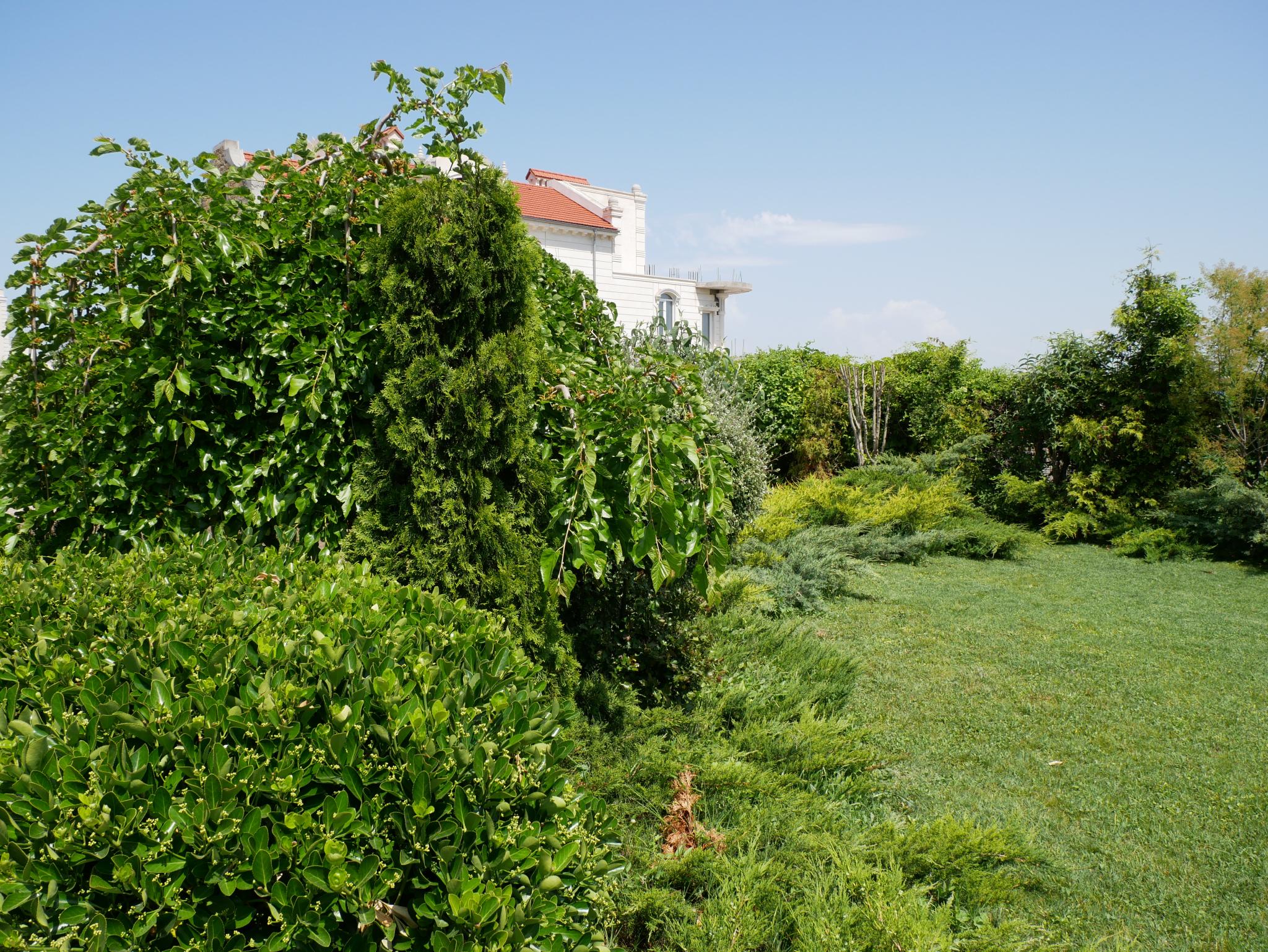 Фото Вилла Венеция