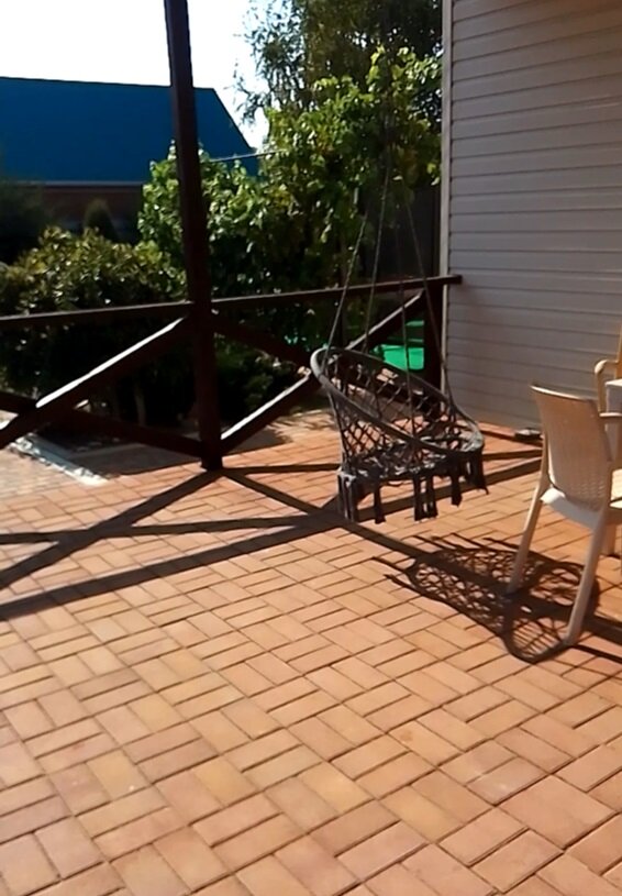 Фото 38 Попугаев