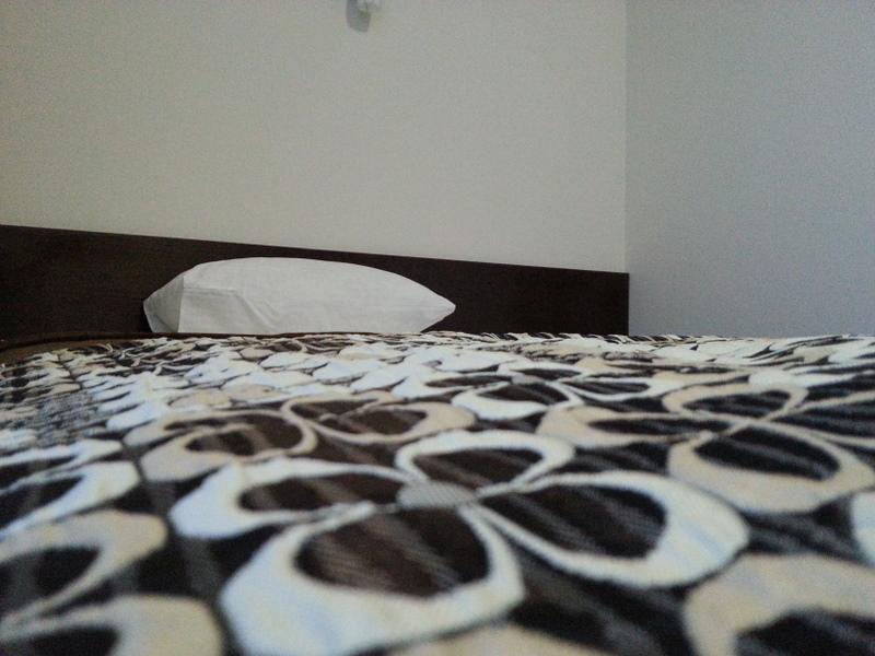 Фото Гостиница Алпатьево