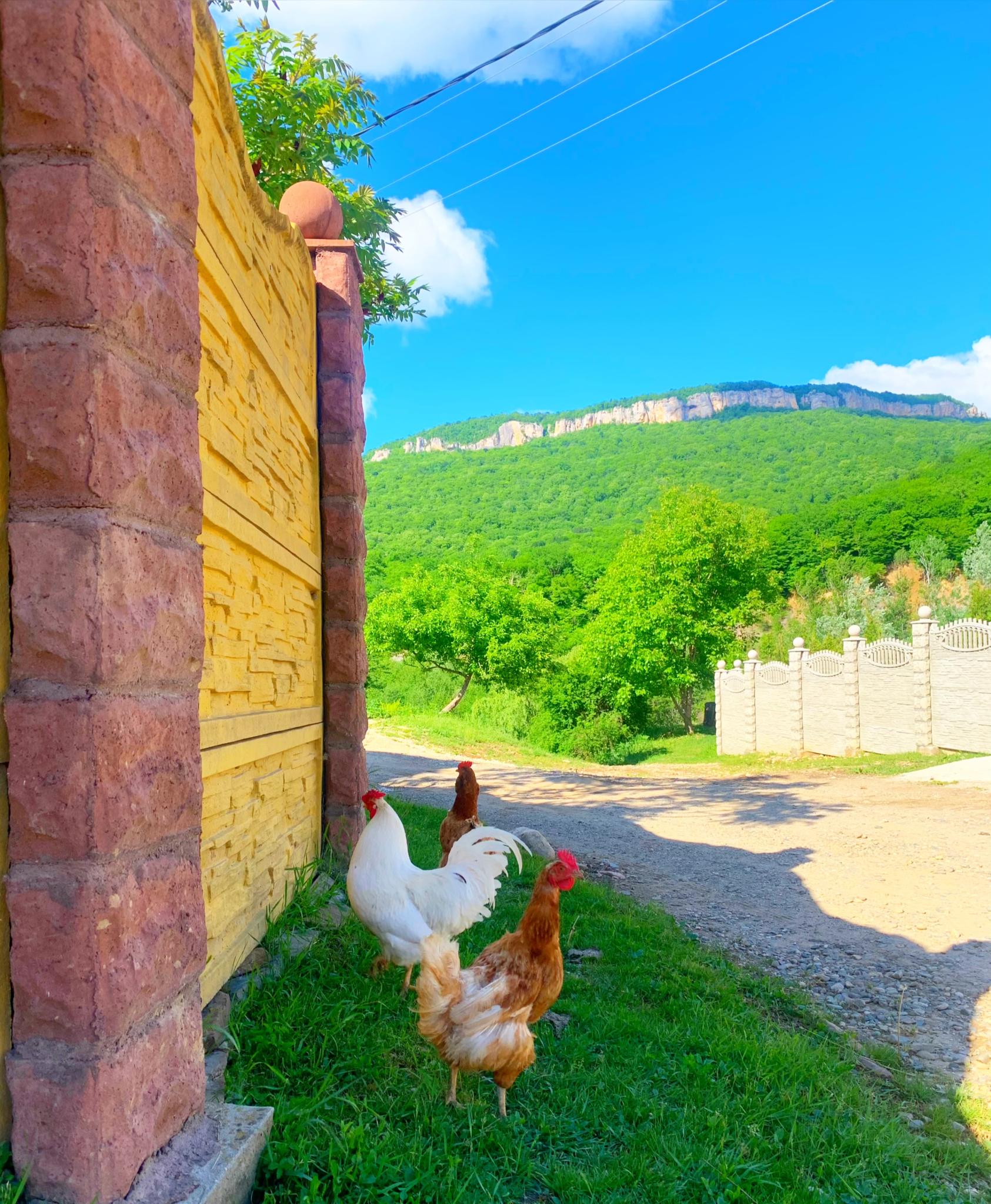 Фото Два брата