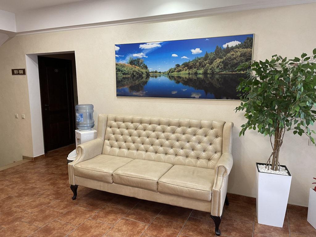 Фото Белые Росы