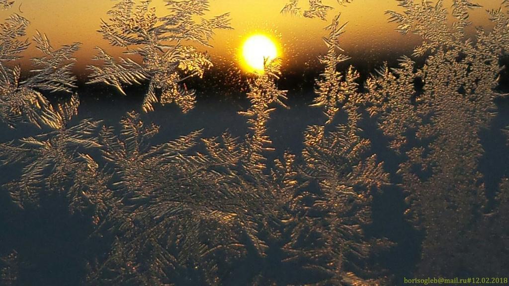 Фото Ковчег