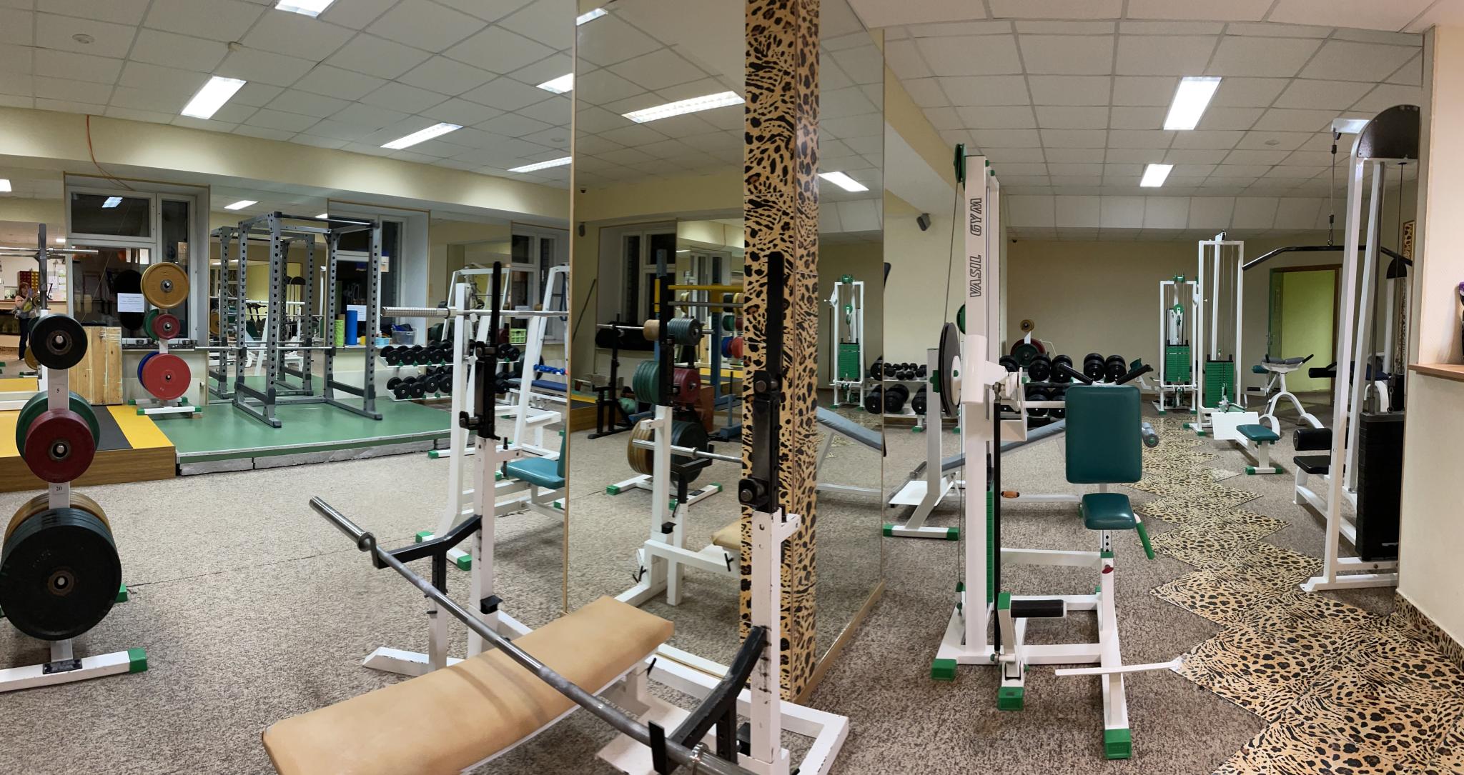 Фото Спарта