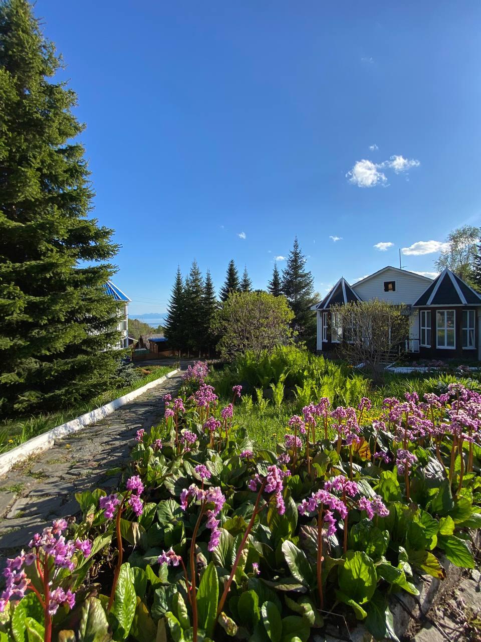 Фото Флагман