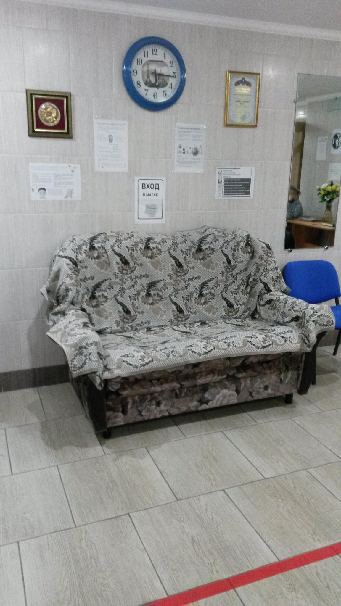 Фото Берёзка