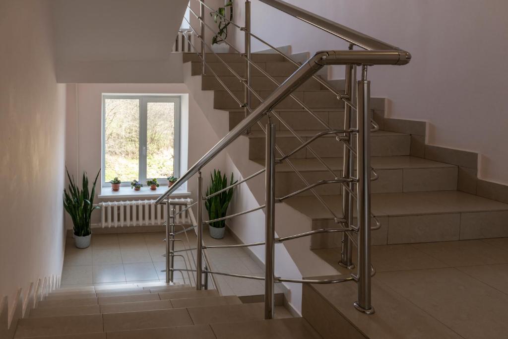 Фото Вестник