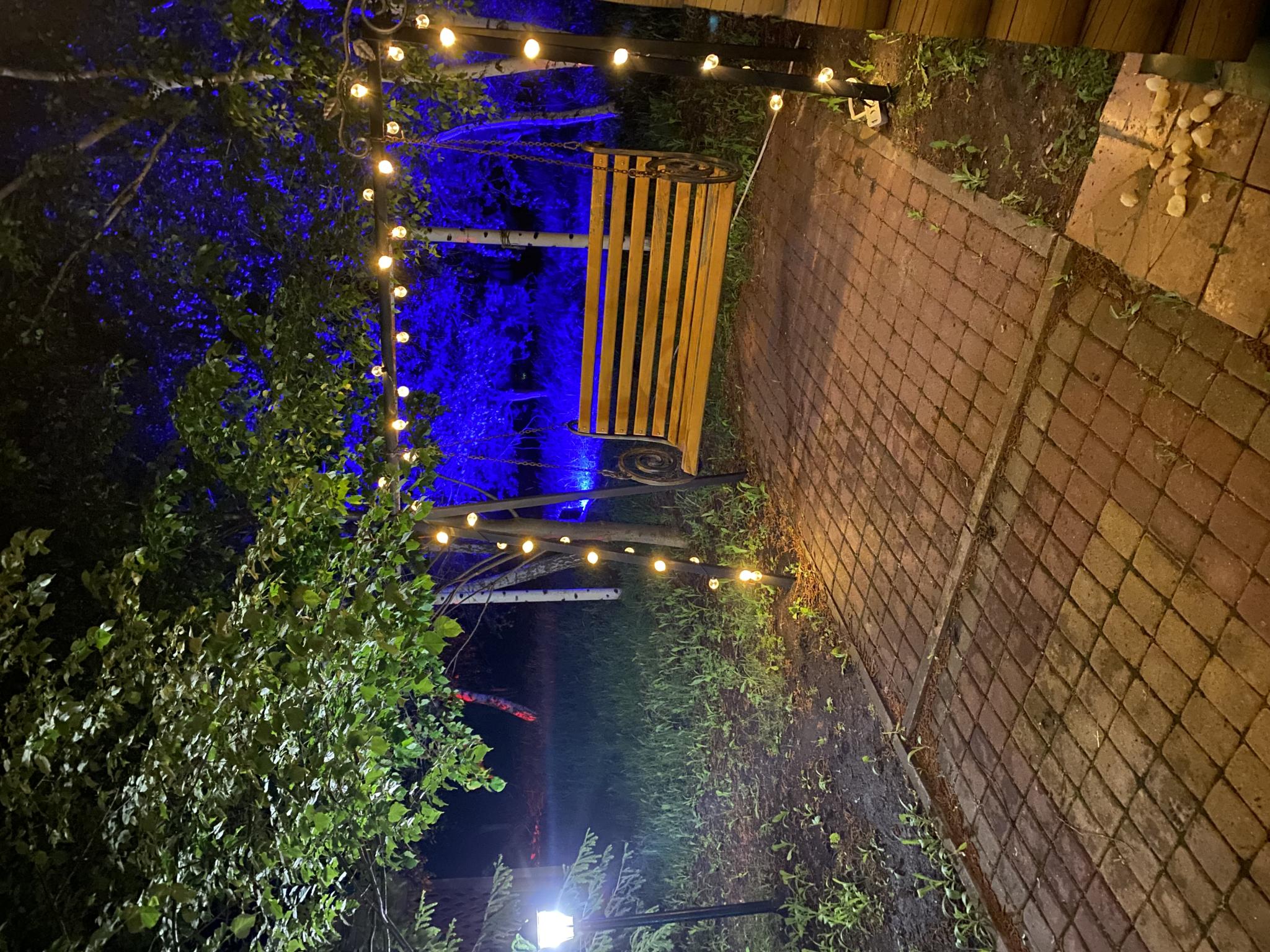 Фото Zолотой саZан