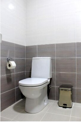 Фото Астери