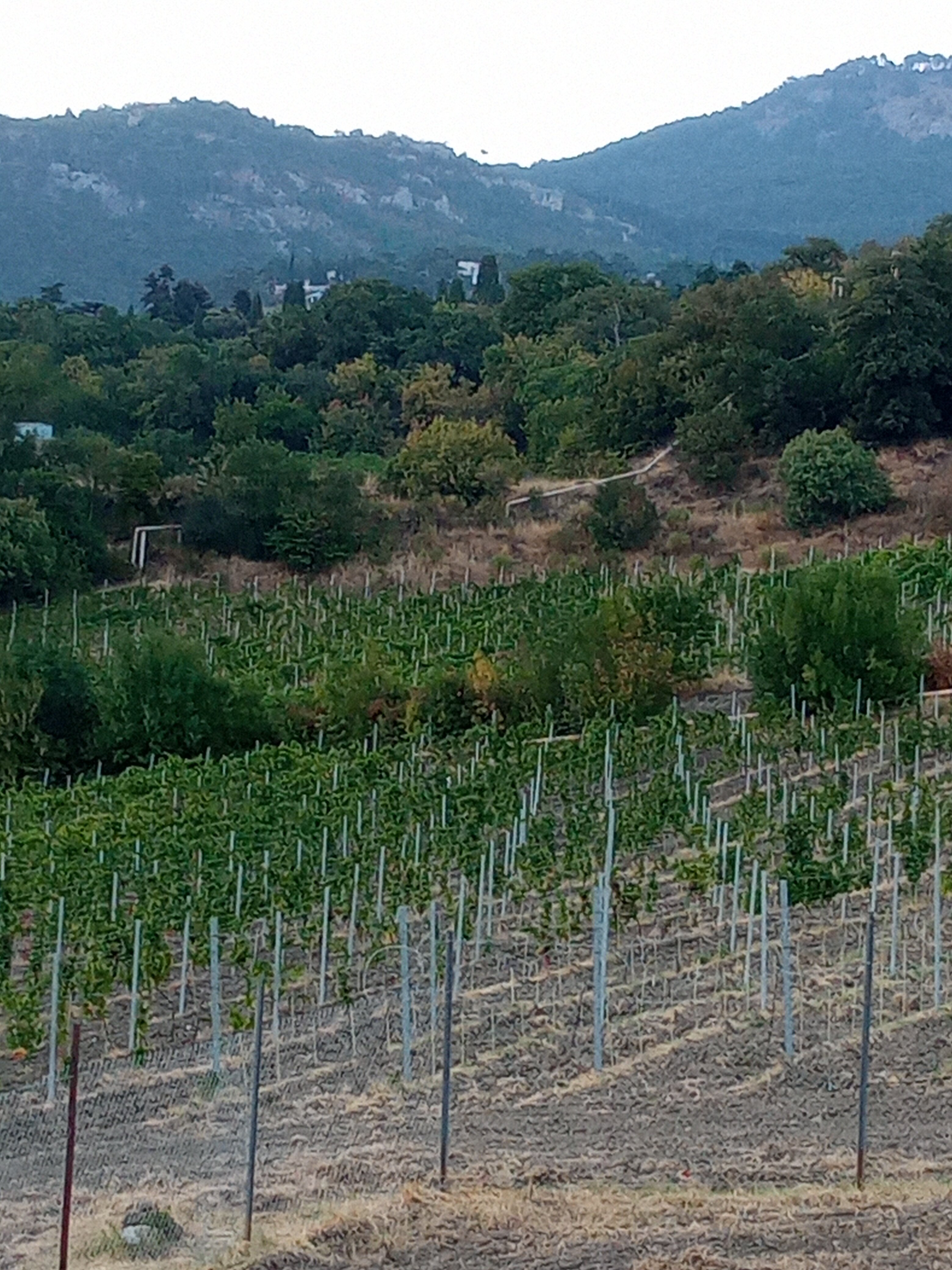 Фото Вилла и Море