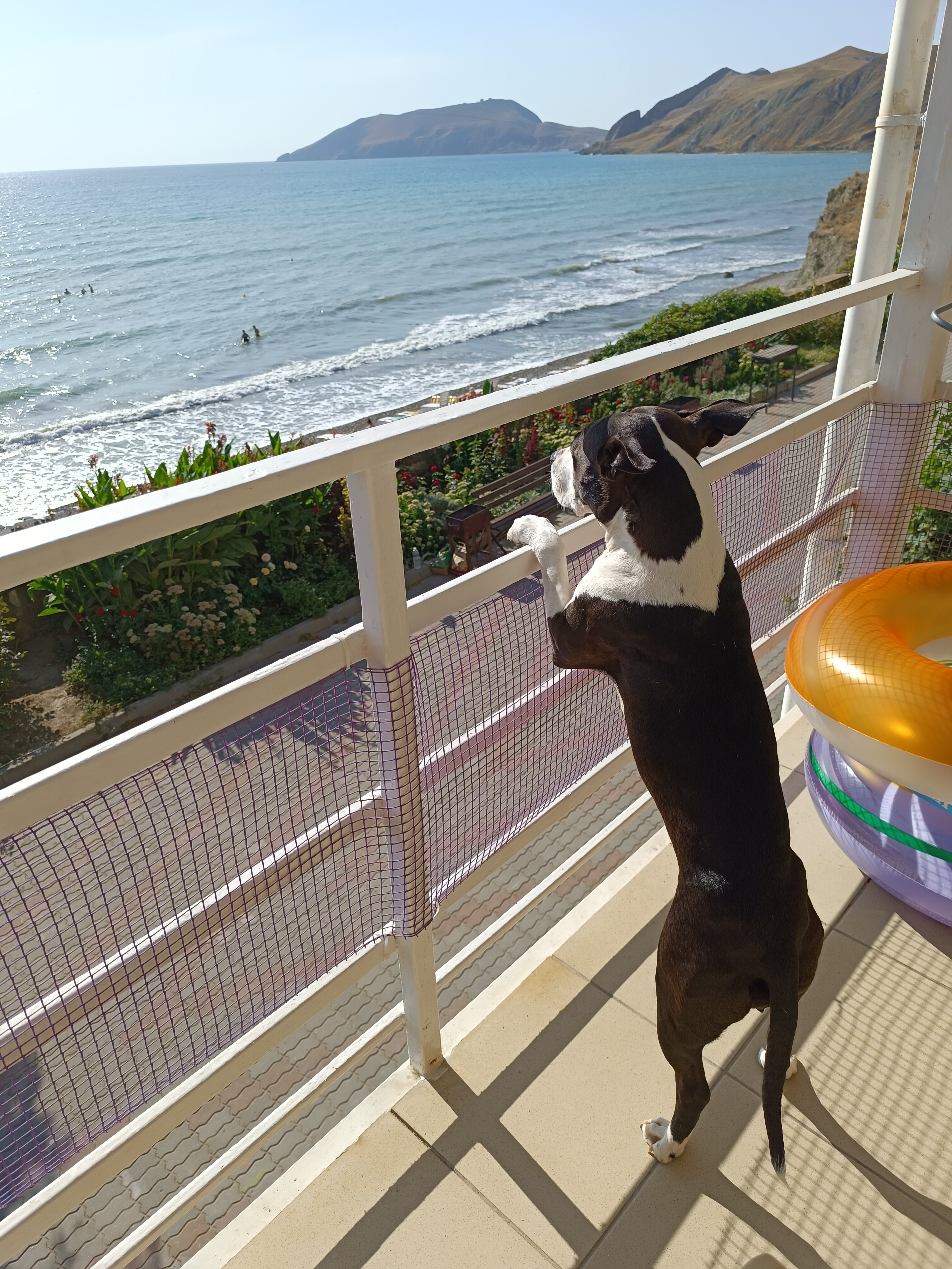 Фото отеля 3