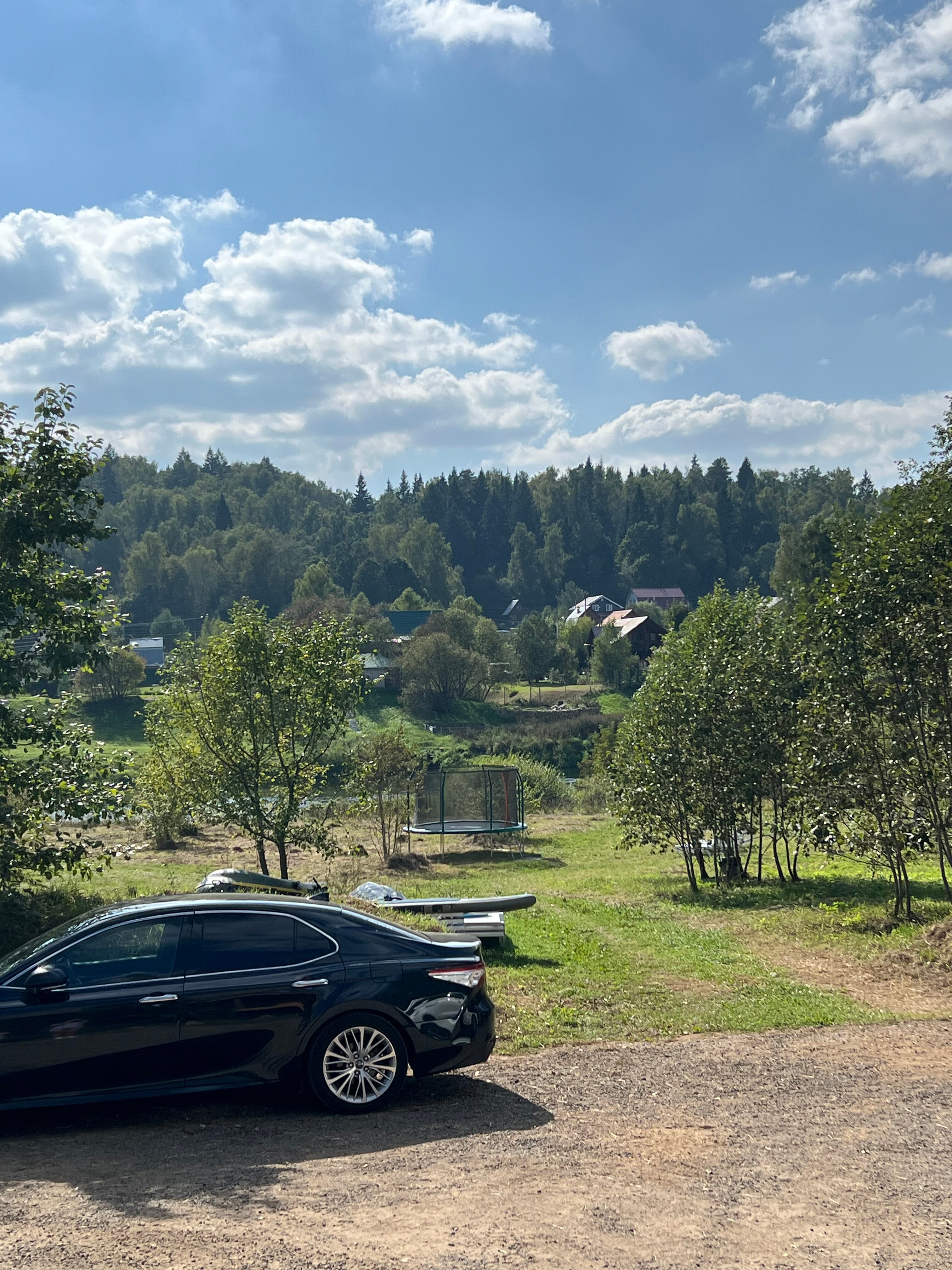 Фото Веселые гуси