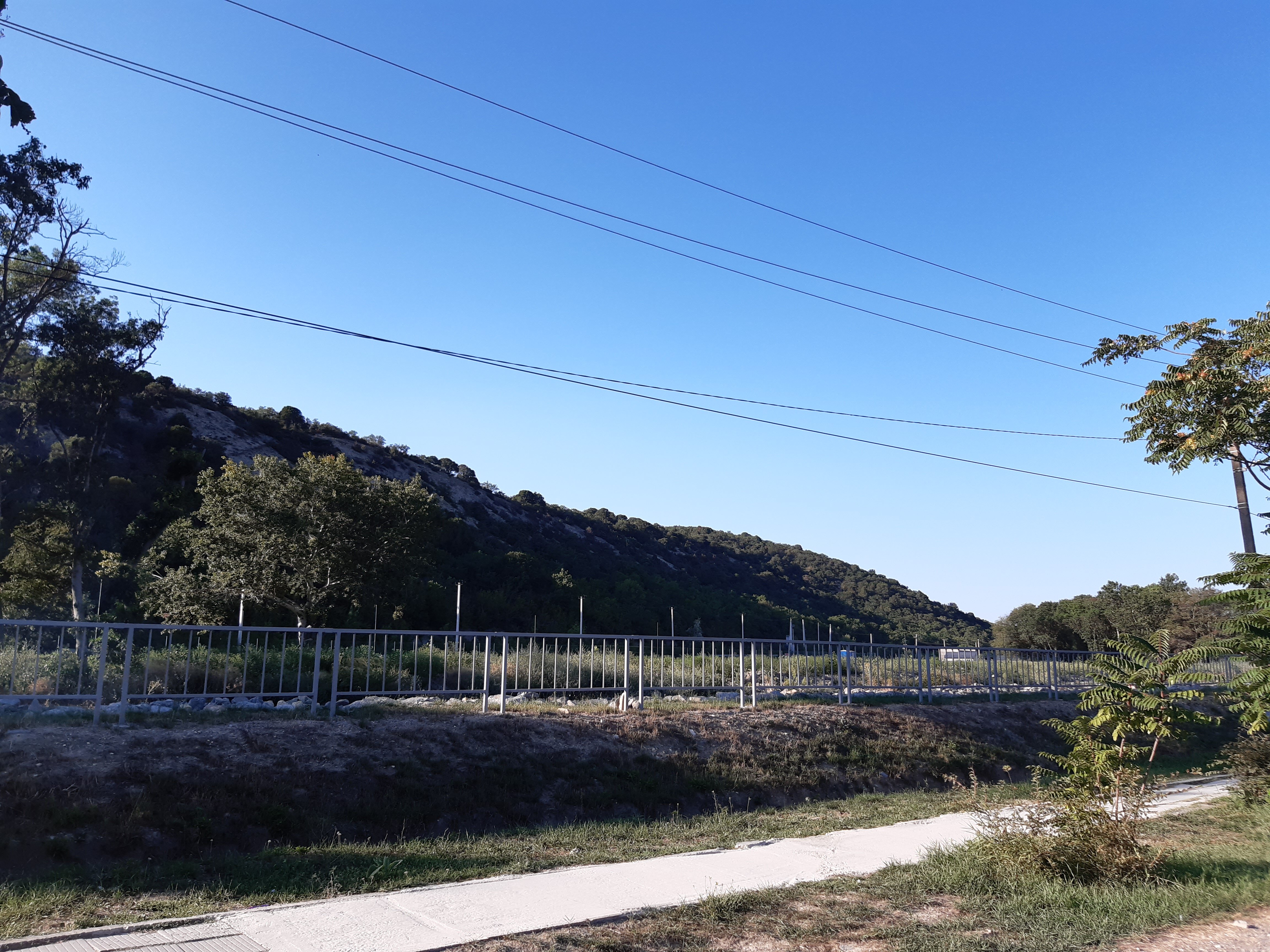 Фото Ангелина