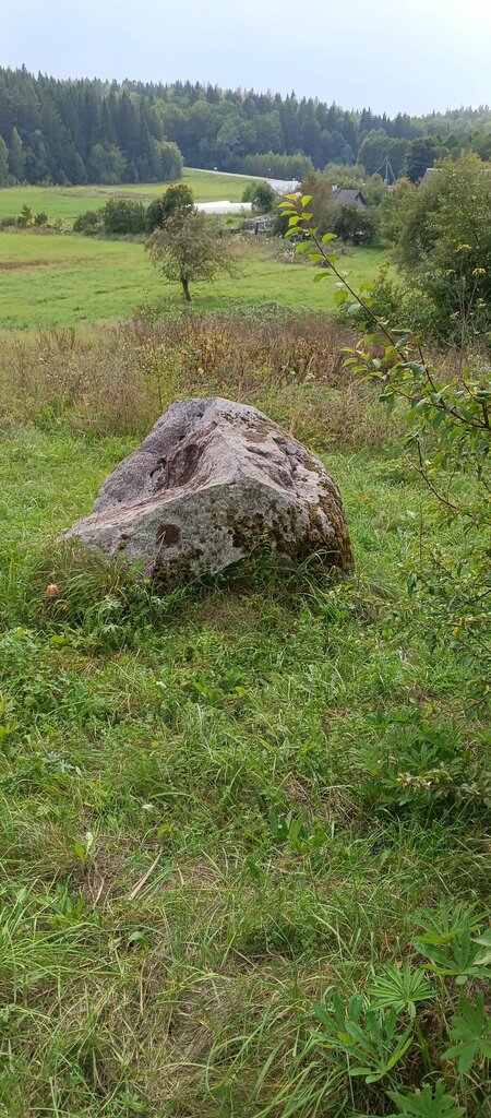 نادي الواقع الافتراضي Большой камень Литовский со знаками ، ، صورة
