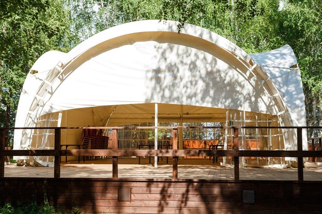 Фото Белая лошадь