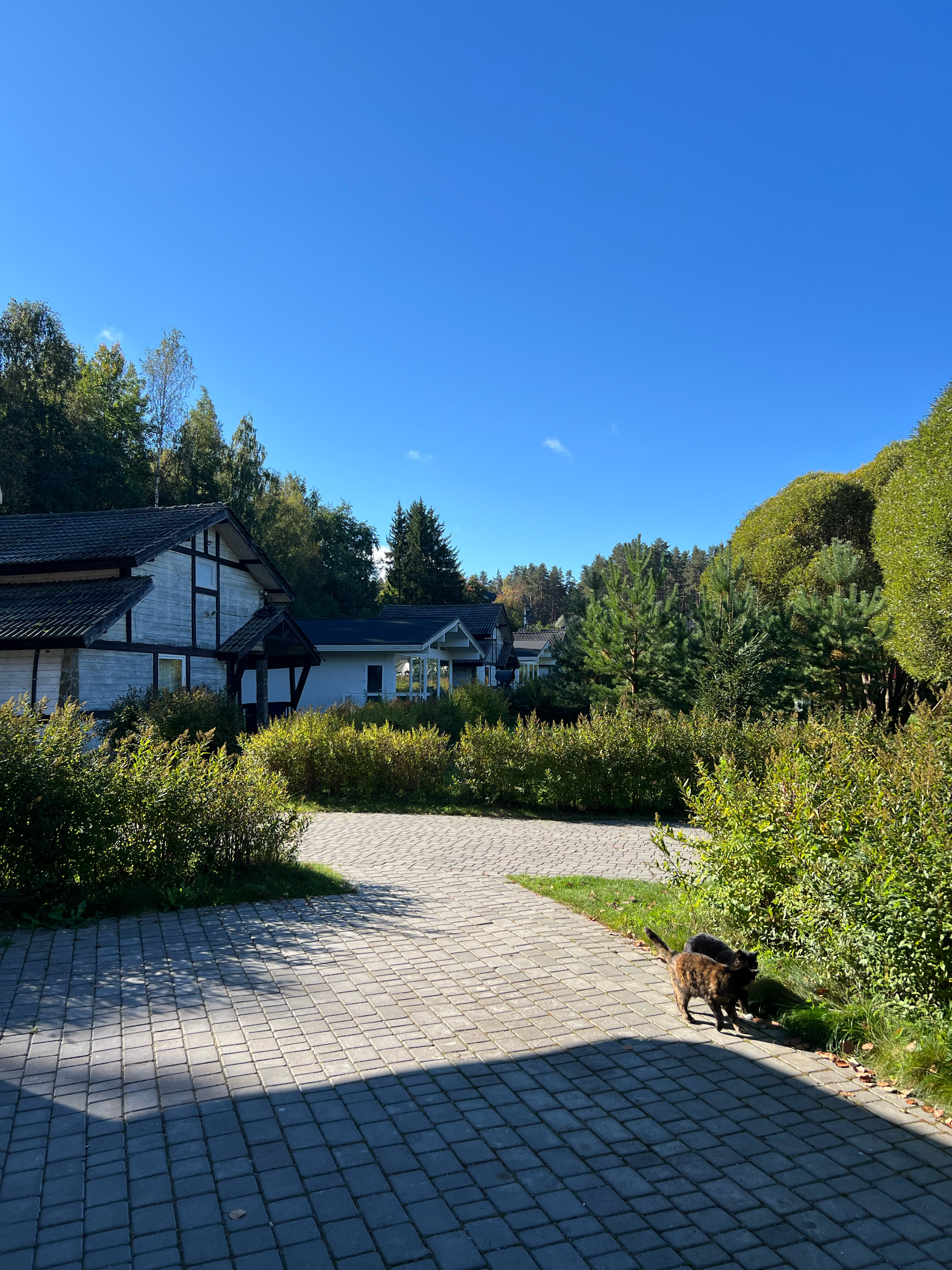 Фото Давинчи Парк