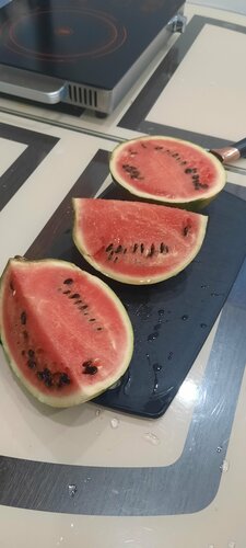 صيدلية Gubernskiye apteki ، إقليم كراسنويارسك، صورة
