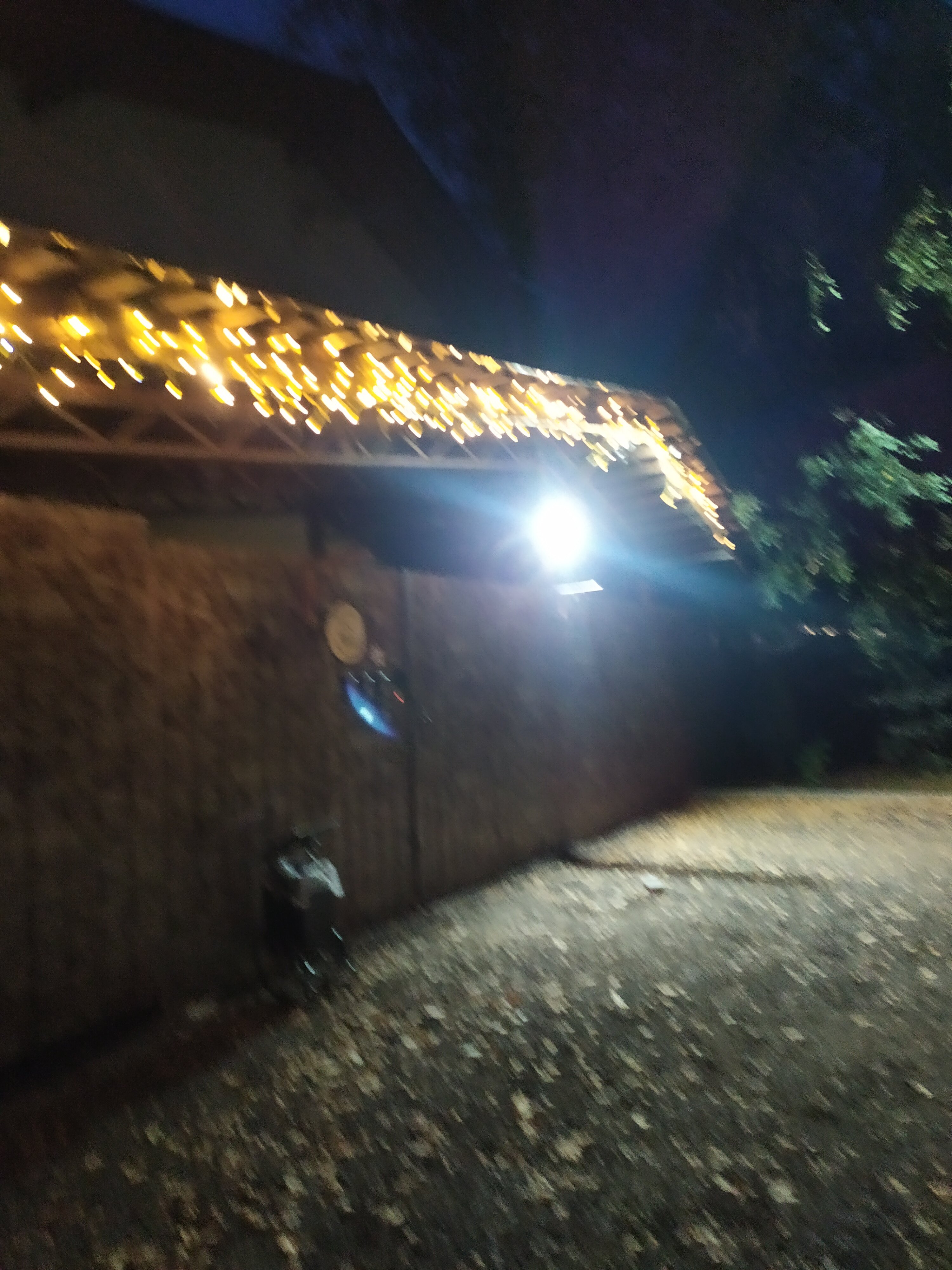 Фото Шале Тюленя