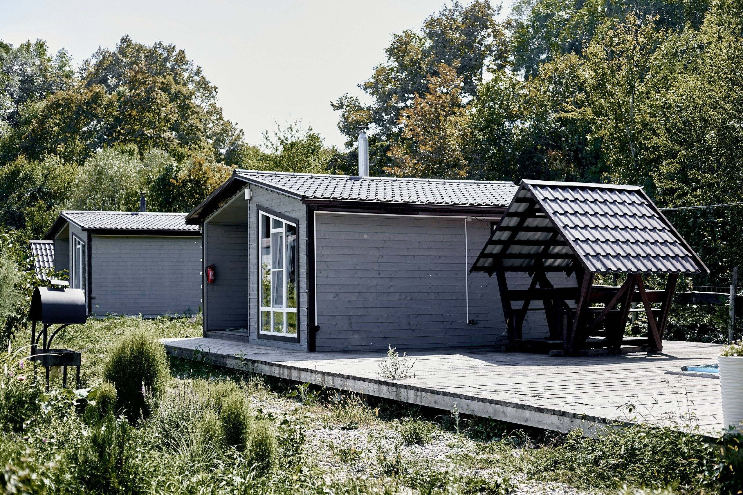 Фото Магия природы