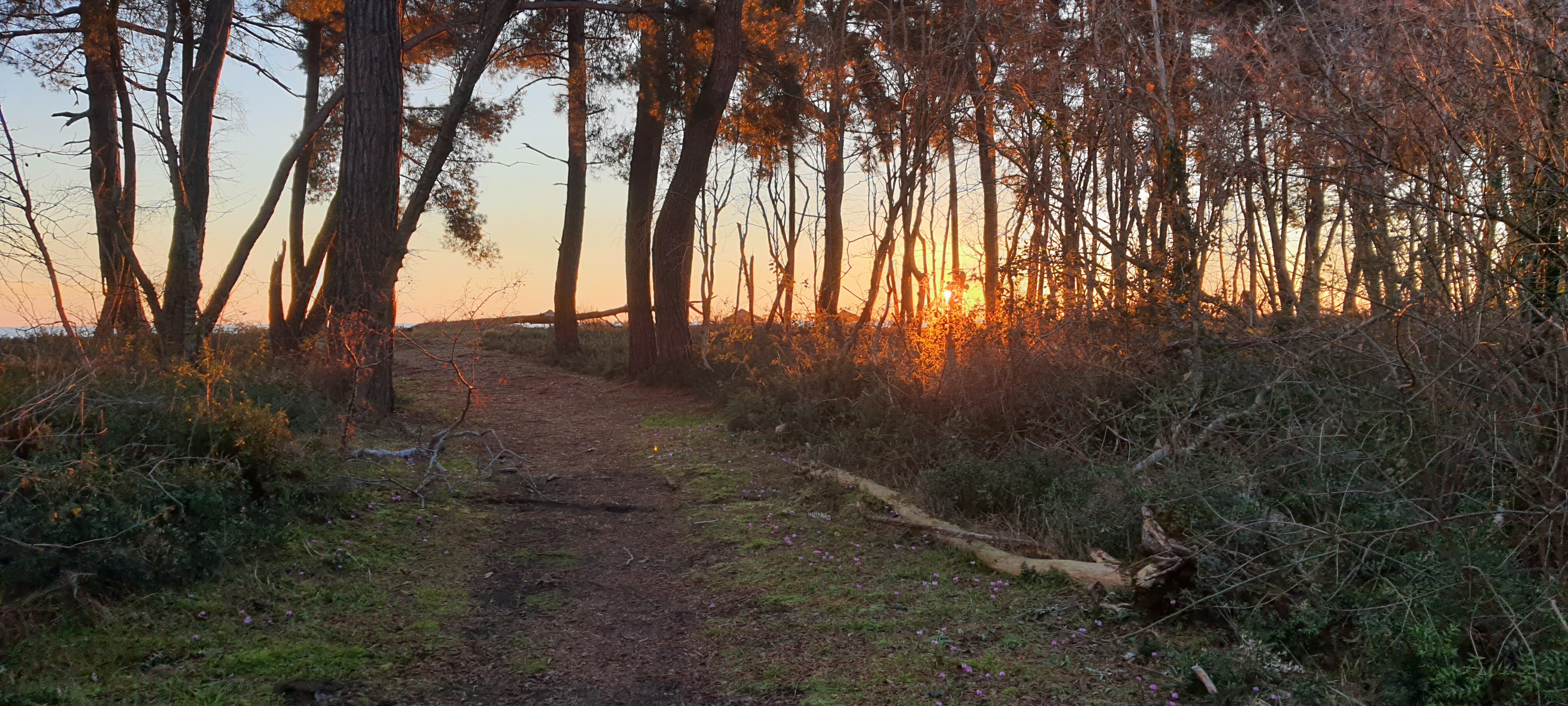 Фото Абазгия