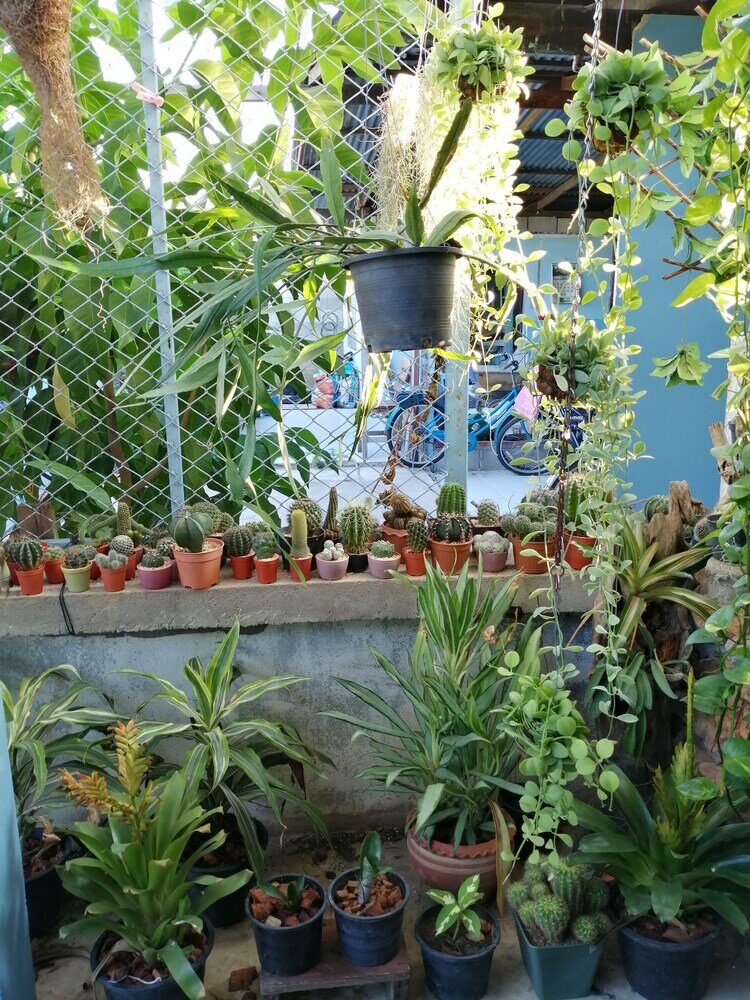 Фото Canaan Guesthouse