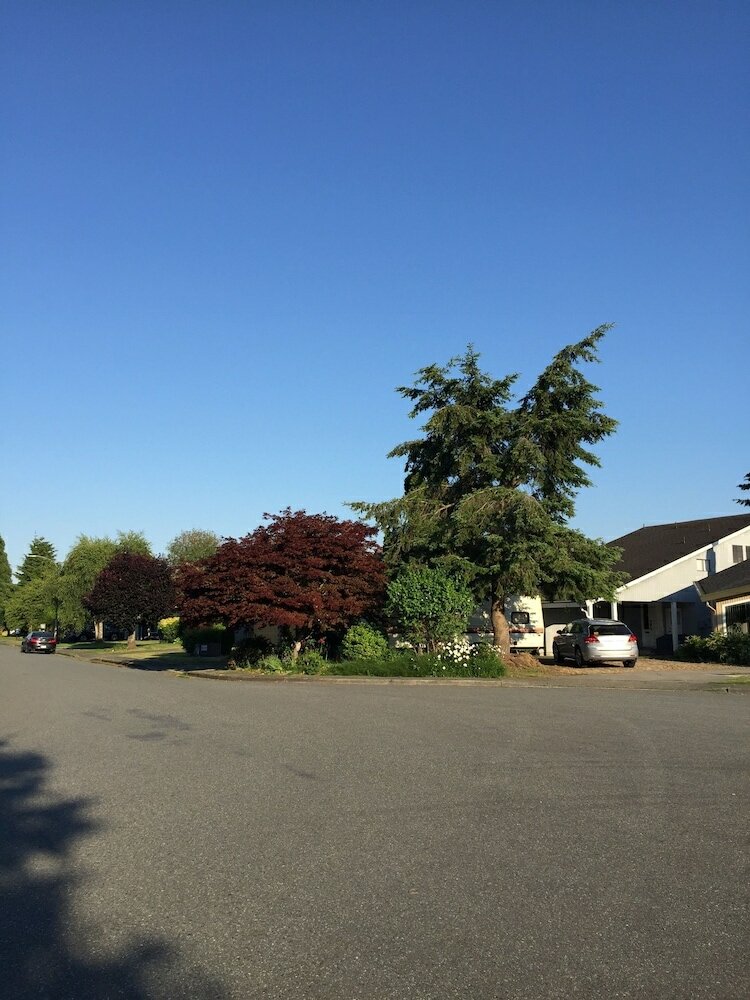 Фото Orchid House