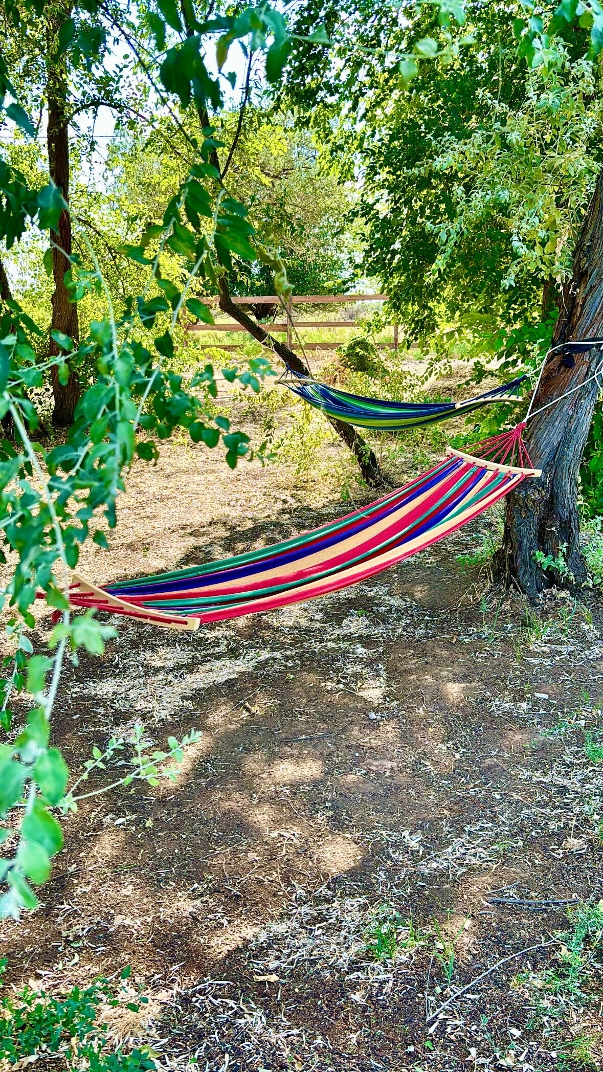 Фото Загородный парк Баклушино
