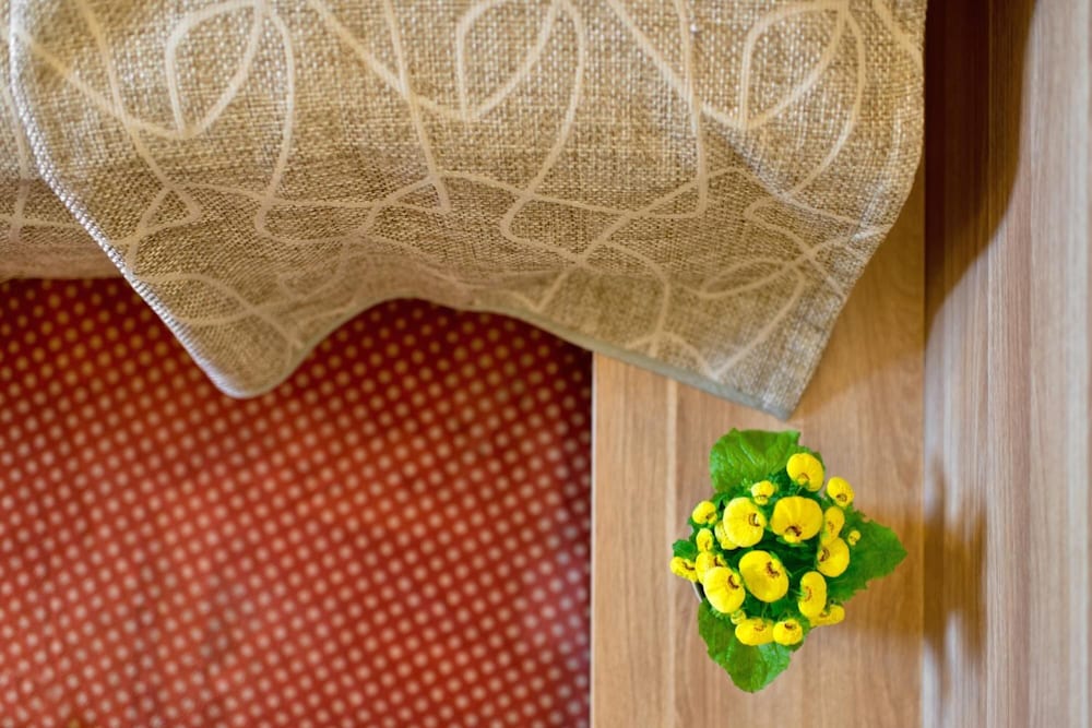 Фото Green Vilnius Hotel