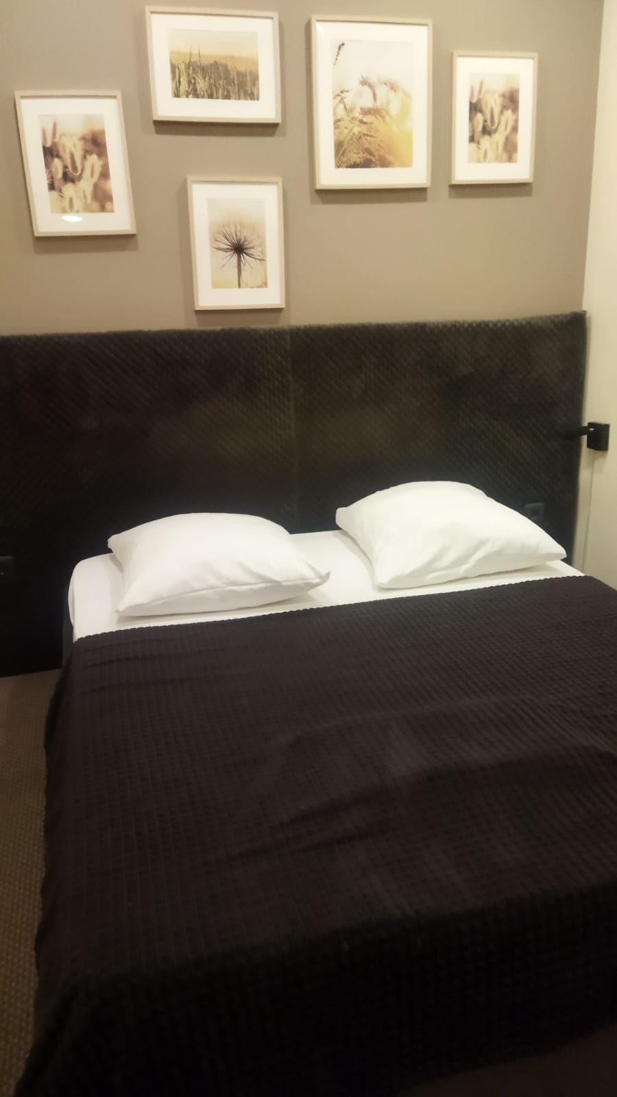 Фото Элегант