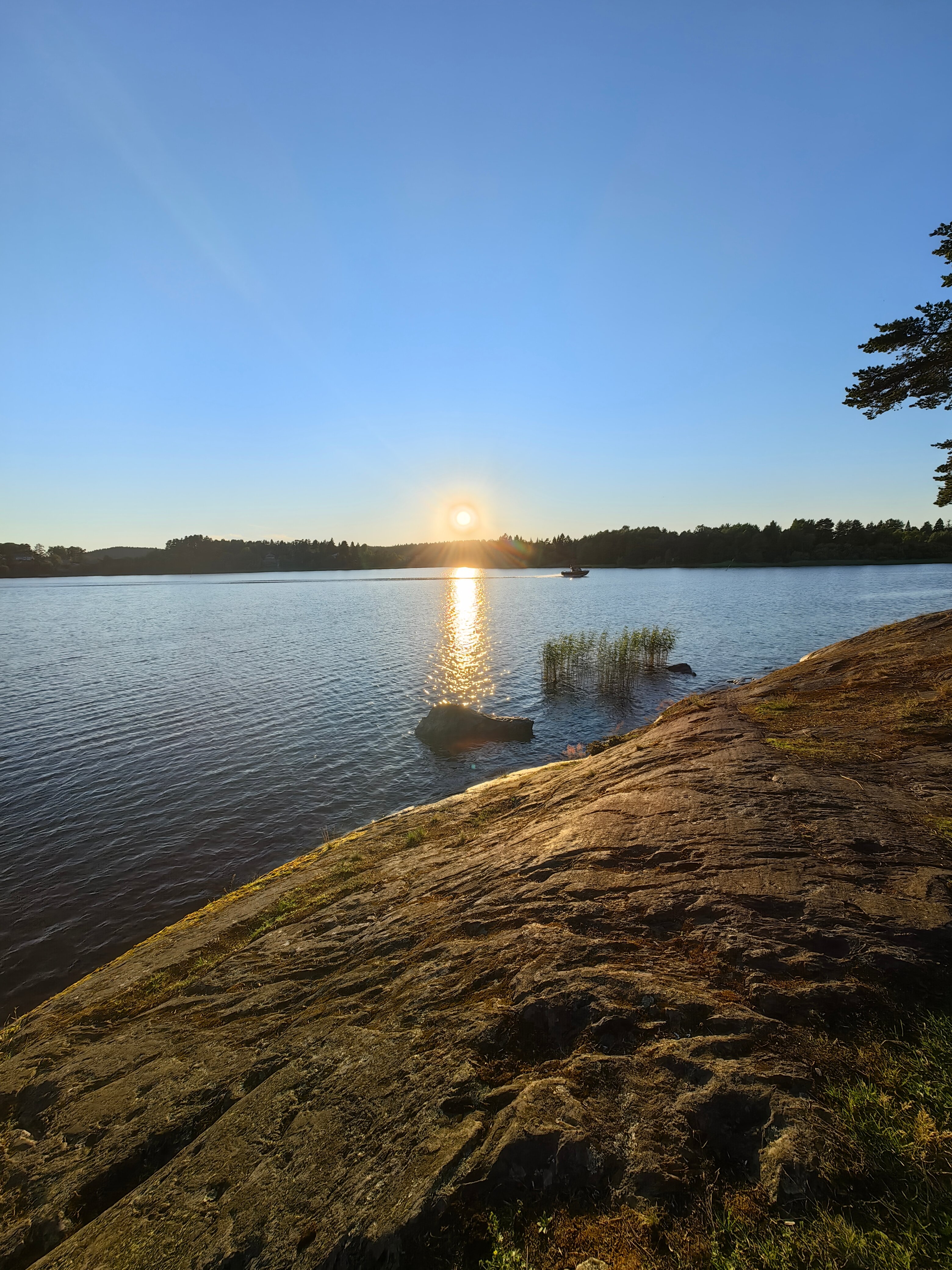 Фото Павола