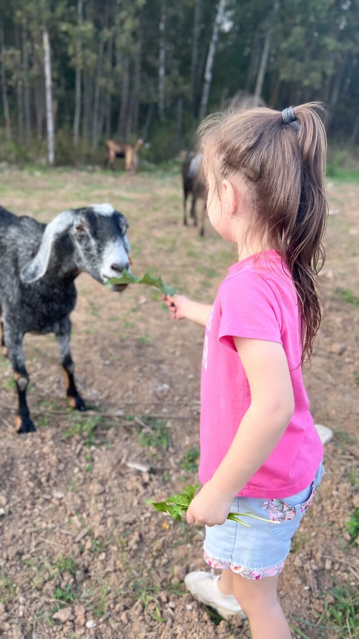 Фото Семейная экоферма