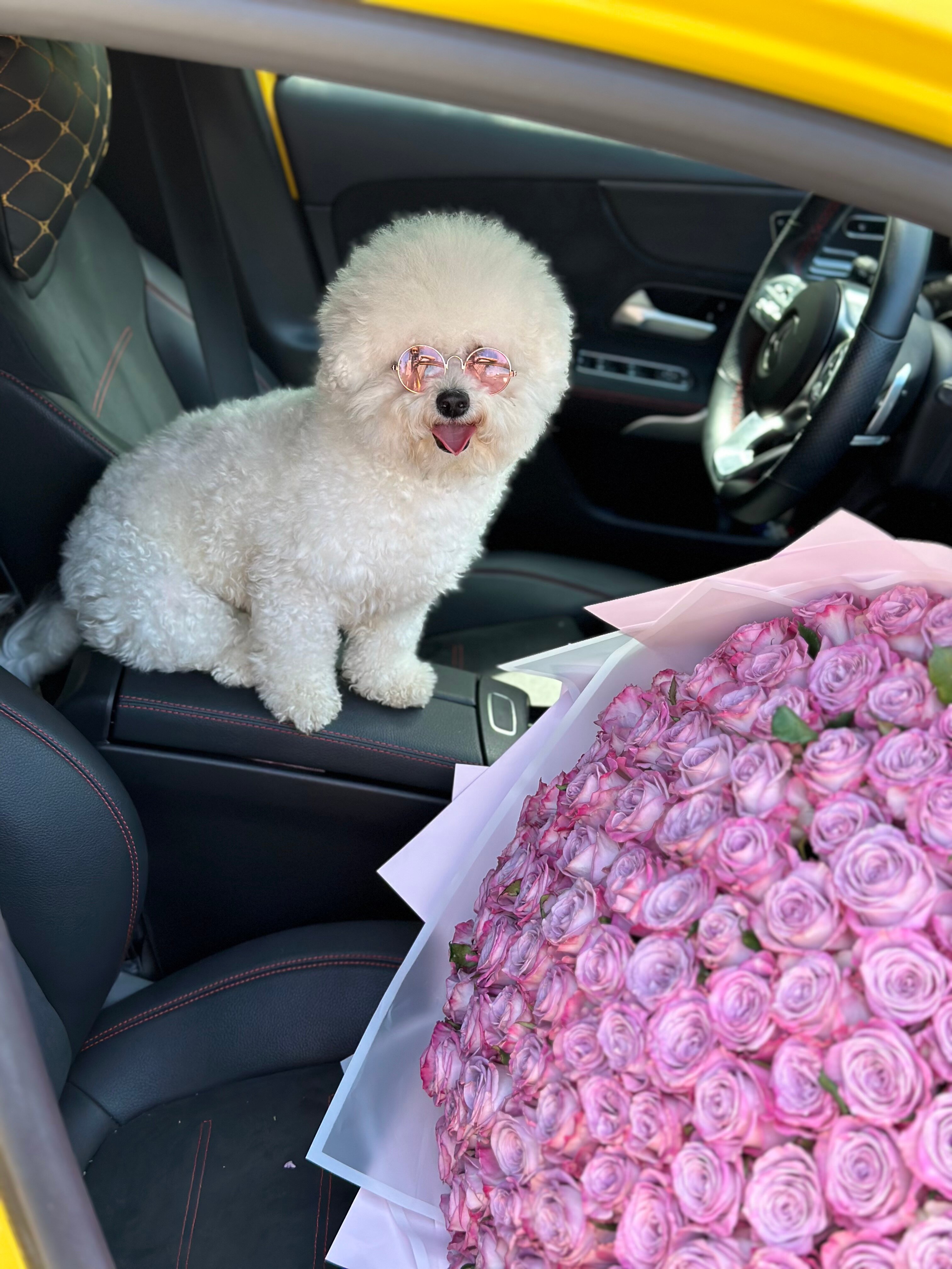 Фото Chateau Pinot Отель